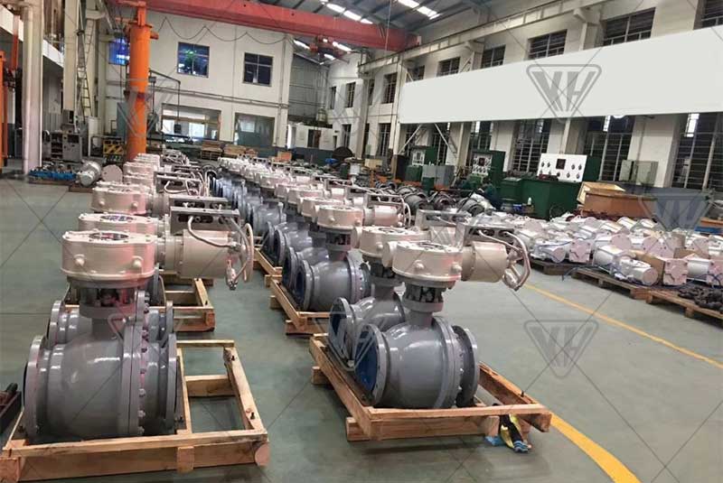 ��ҳ- Z6�����й����������ǲ�