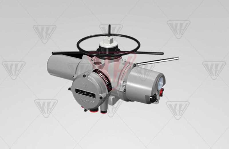 �綯ִ����