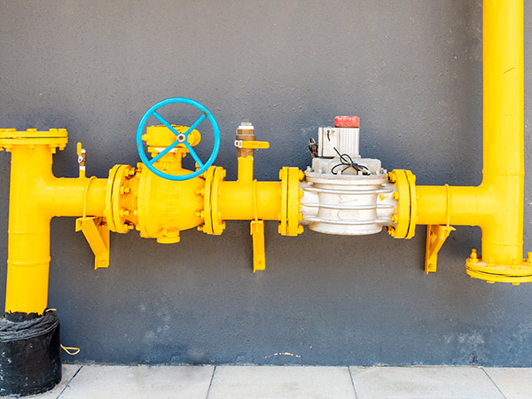 ��ҳ- Z6�����й����������ǲ�