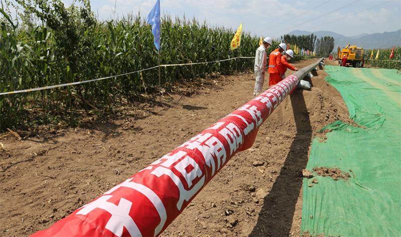 ��ҳ- Z6�����й����������ǲ�